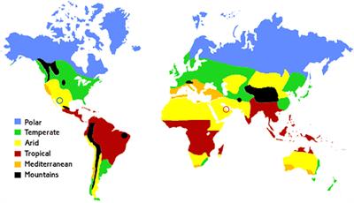 Estimating Economic and Environmental Benefits of Urban Trees in Desert Regions